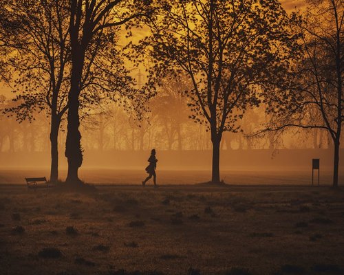 Person jogging in nature park